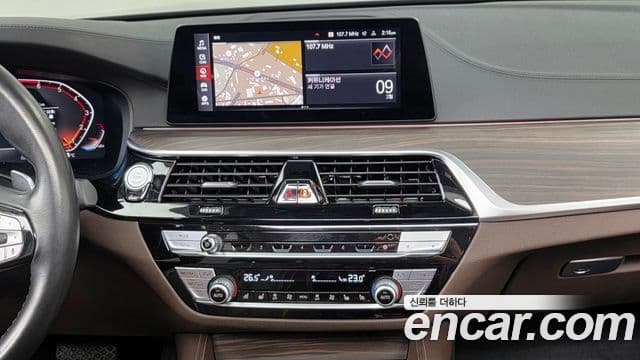 BMW 5시리즈 (G30) 530i Luxury Plus, 2020 14