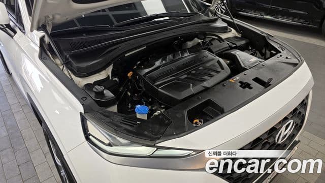 Hyundai Santa Fe TM Exclusive, 2019 6