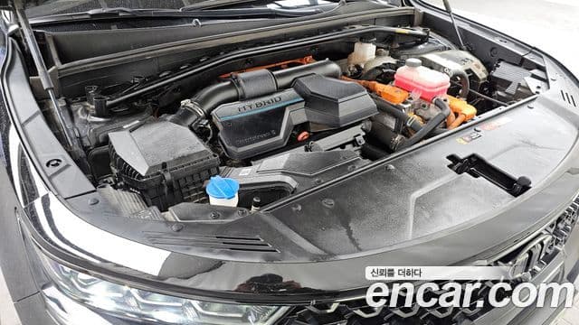 Kia Sorento 4세대 Noblesse, 2021 6