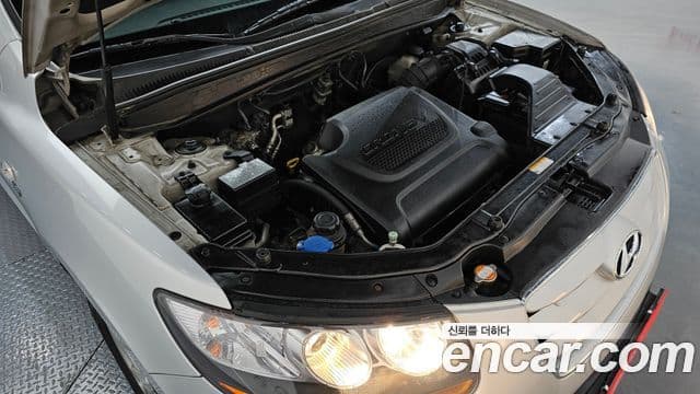 Hyundai Santa Fe CM Deluxe, 2010 6