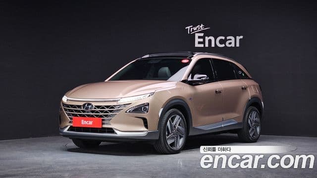 Hyundai NEXO Premium, 2020 1