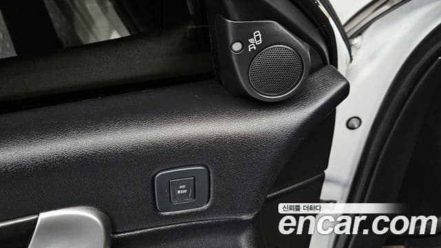 Renault Korea(Samsung) SM7 Nova LPLI 2.0 LPe для людей с инвалидностью, 2019 12