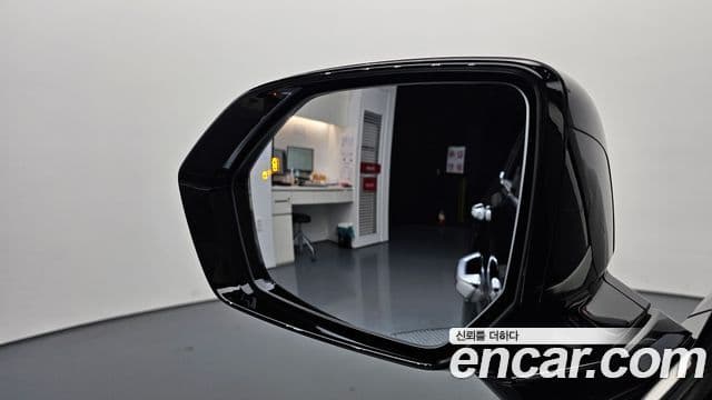 Hyundai Palisade Prestige, 2019 16