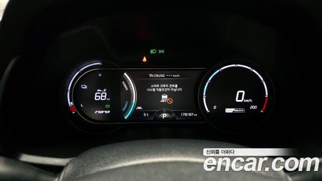 Kia Niro EV Noblesse, 2019 8