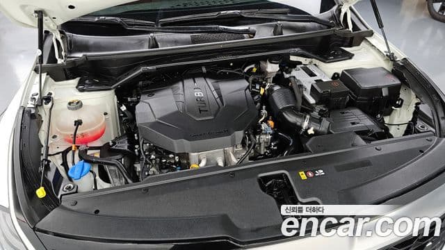 Kia Sportage 5세대 Signature, 2022 6