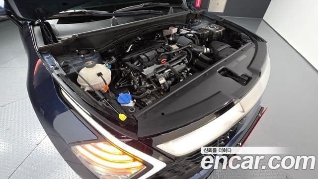 Kia Sportage 5세대 Signature, 2022 6