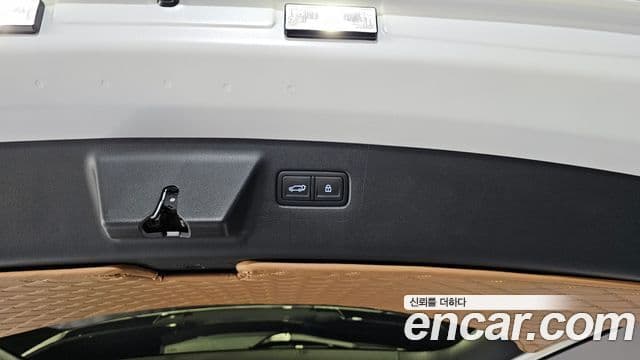 Hyundai Santa Fe (MX5) Calligraphy, 2025 20