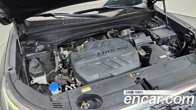 Hyundai Palisade Prestige, 2019 6