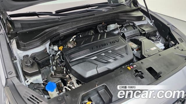 Hyundai Santa Fe TM Premium, 2019 6