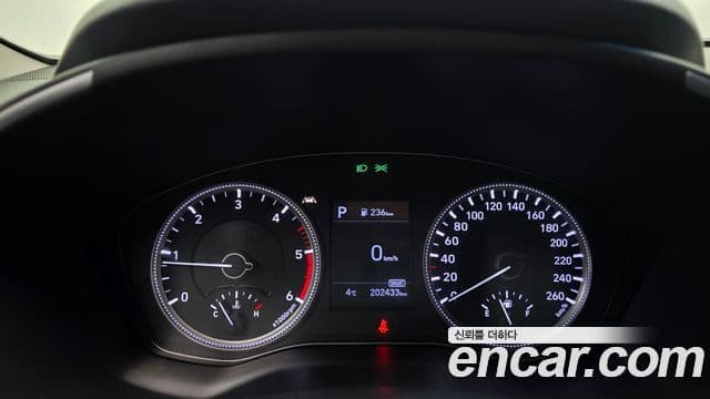 Hyundai Santa Fe TM Premium, 2019 8