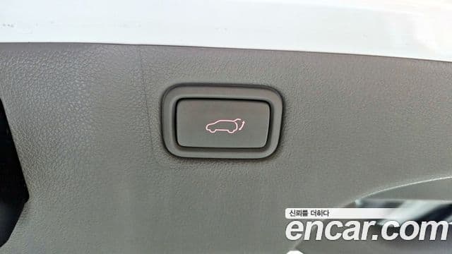 Kia The / новый New Carnival Noblesse, 2019 20