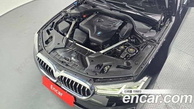 BMW 5시리즈 (G30) Luxury, 2021 6