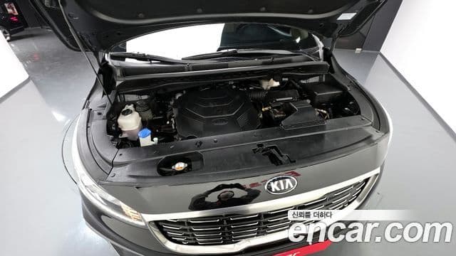 Kia The / новый New Carnival Noblesse Special, 2019 6