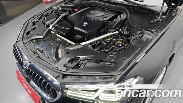 BMW 5시리즈 (G30) Luxury, 2021 6