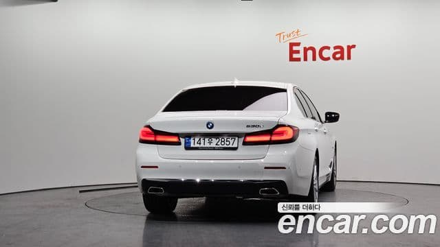 BMW 5시리즈 (G30) Luxury, 2023 4