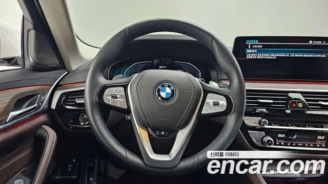 BMW 5시리즈 (G30) Luxury, 2023 13