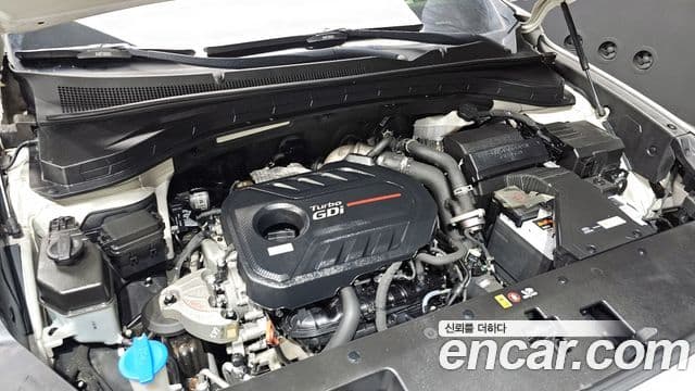 Hyundai Santa Fe TM Inspiration, 2019 6