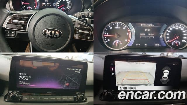 Kia Seltos Noblesse, 2020 10