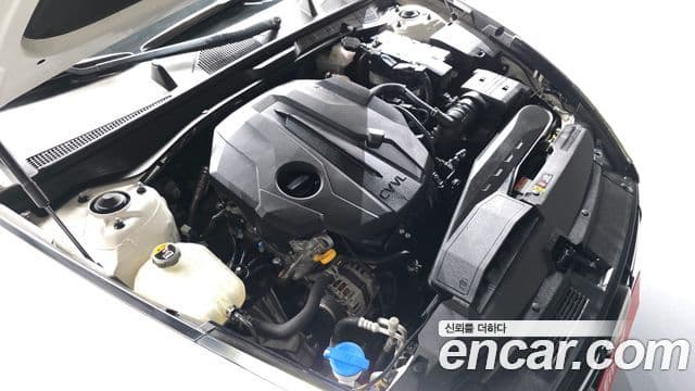 Hyundai Sonata (DN8) Premium Family, 2020 6