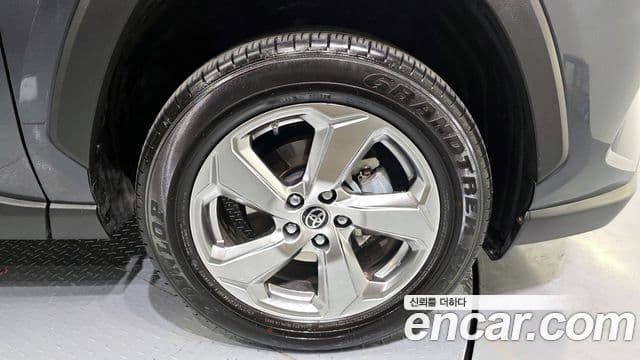 Toyota RAV4 5세대, 2021 все фото