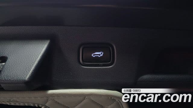 Hyundai Palisade Prestige, 2020 20