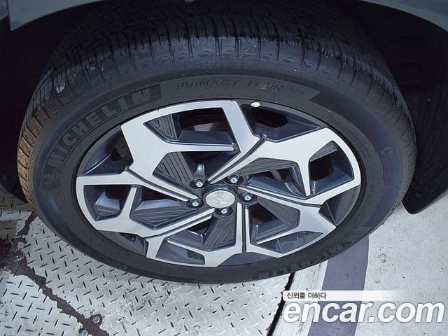 Hyundai Palisade VIP, 2021 все фото