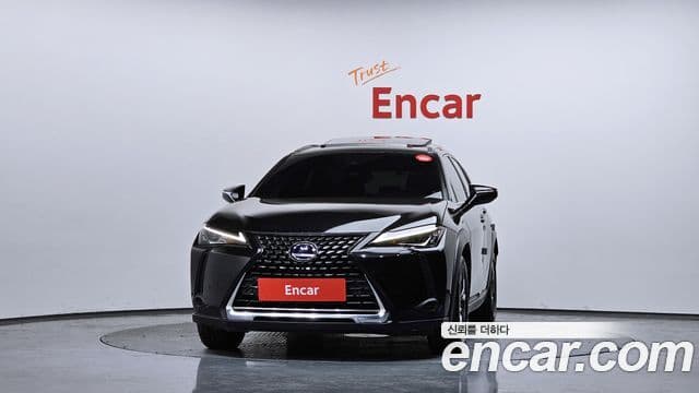 Lexus UX250h, 2019 3