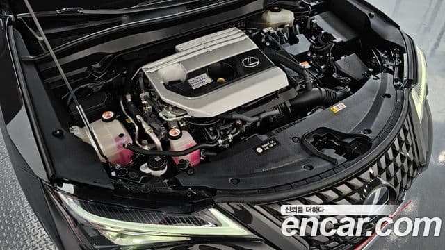 Lexus UX250h, 2019 6