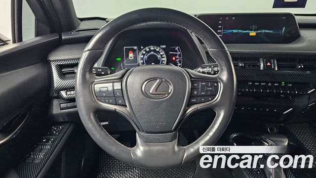Lexus UX250h, 2019 13