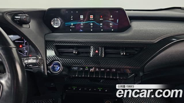 Lexus UX250h, 2019 16