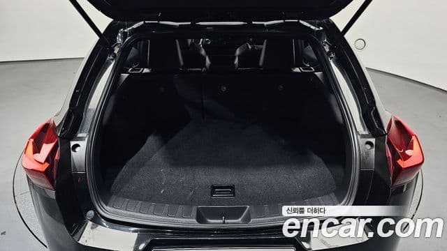 Lexus UX250h, 2019 20