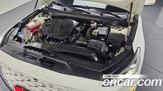 Kia K8 Noblesse, 2023 6