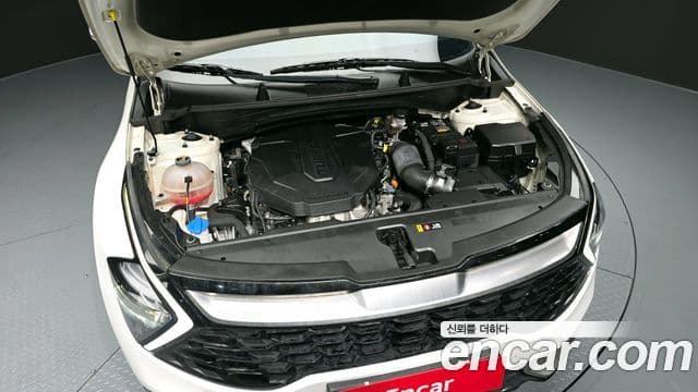 Kia Sportage 5세대 Noblesse, 2023 6