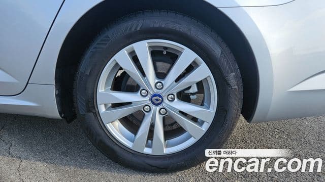 Renault Korea(Samsung) SM6 2.0 LPe PE (арендный автомобиль), 2019 все фото