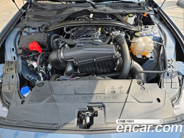 Ford Mustang 7세대 2.3 EcoBoost Premium купе, 2024 6