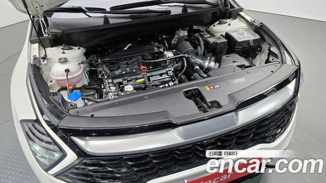 Kia Sportage 5세대 Signature, 2024 6