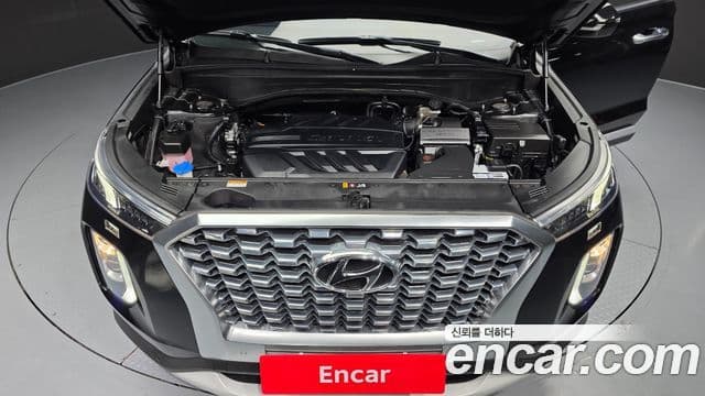 Hyundai Palisade Exclusive, 2021 6