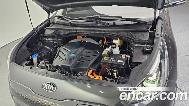 Kia Niro EV Noblesse, 2021 6