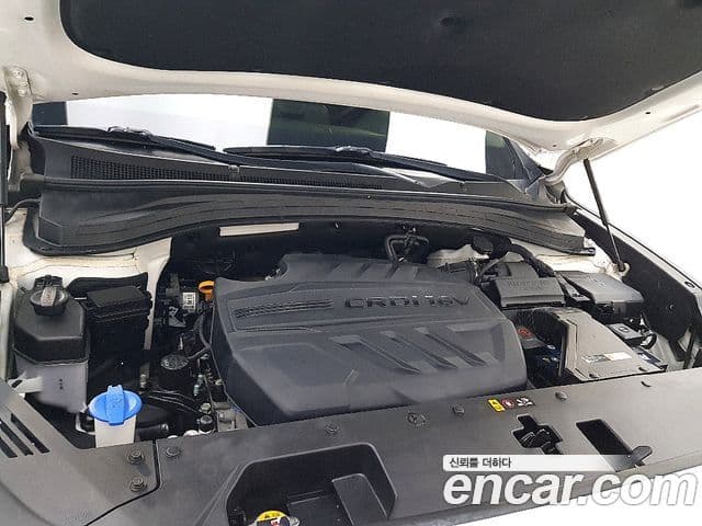 Hyundai Santa Fe TM Exclusive, 2020 6