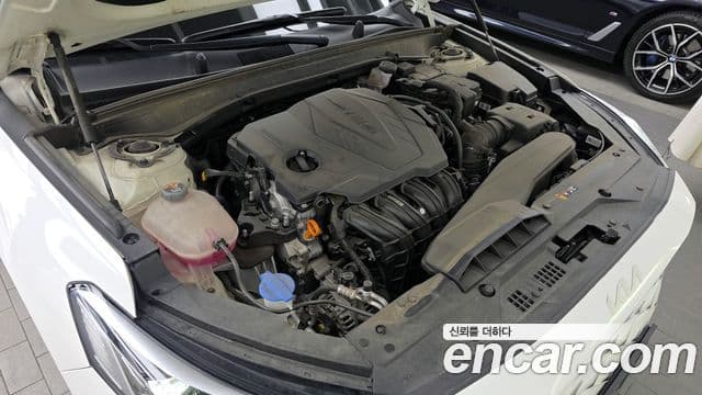 Kia K8 Signature, 2022 6