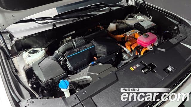 Hyundai Santa Fe (MX5) Calligraphy, 2024 6