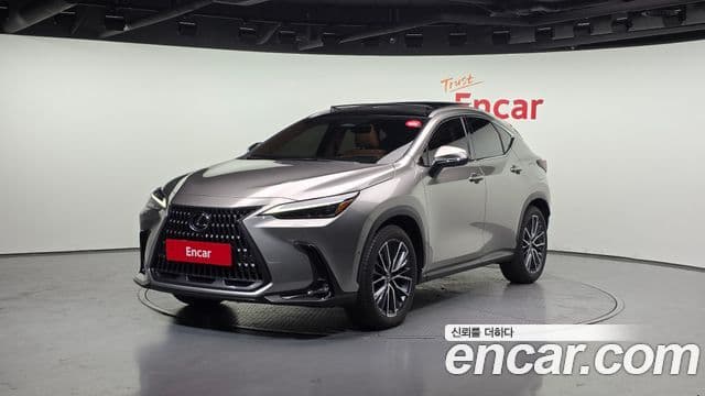 Lexus NX350h 2세대 Luxury, 2025 1