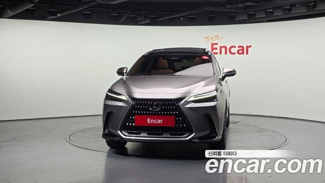 Lexus NX350h 2세대 Luxury, 2025 3