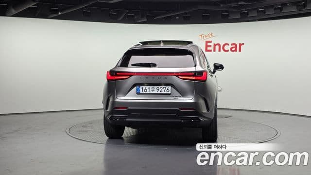 Lexus NX350h 2세대 Luxury, 2025 4