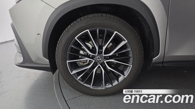 Lexus NX350h 2세대 Luxury, 2025 все фото