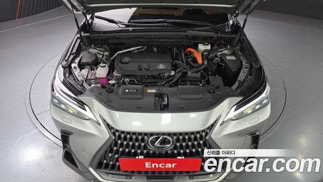 Lexus NX350h 2세대 Luxury, 2025 6
