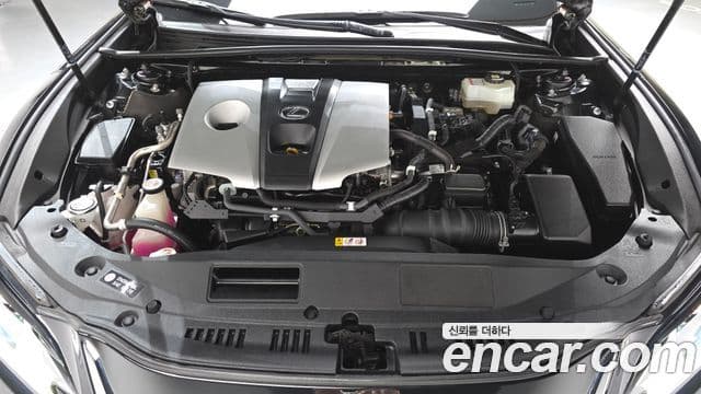 Lexus ES300h 7세대 Luxury Plus, 2021 6