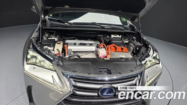 Lexus NX300h Executive, 2016 6