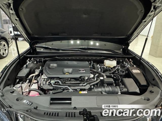 Lexus ES300h 7세대 Executive, 2025 6