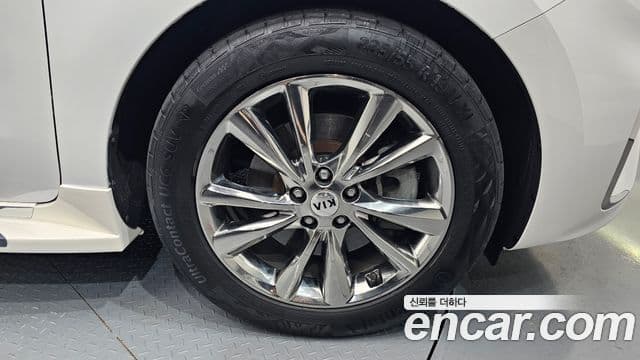 Kia The / новый New Carnival Special, 2019 все фото